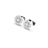 Classic Stud Earrings