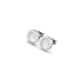 Classic Stud Earrings